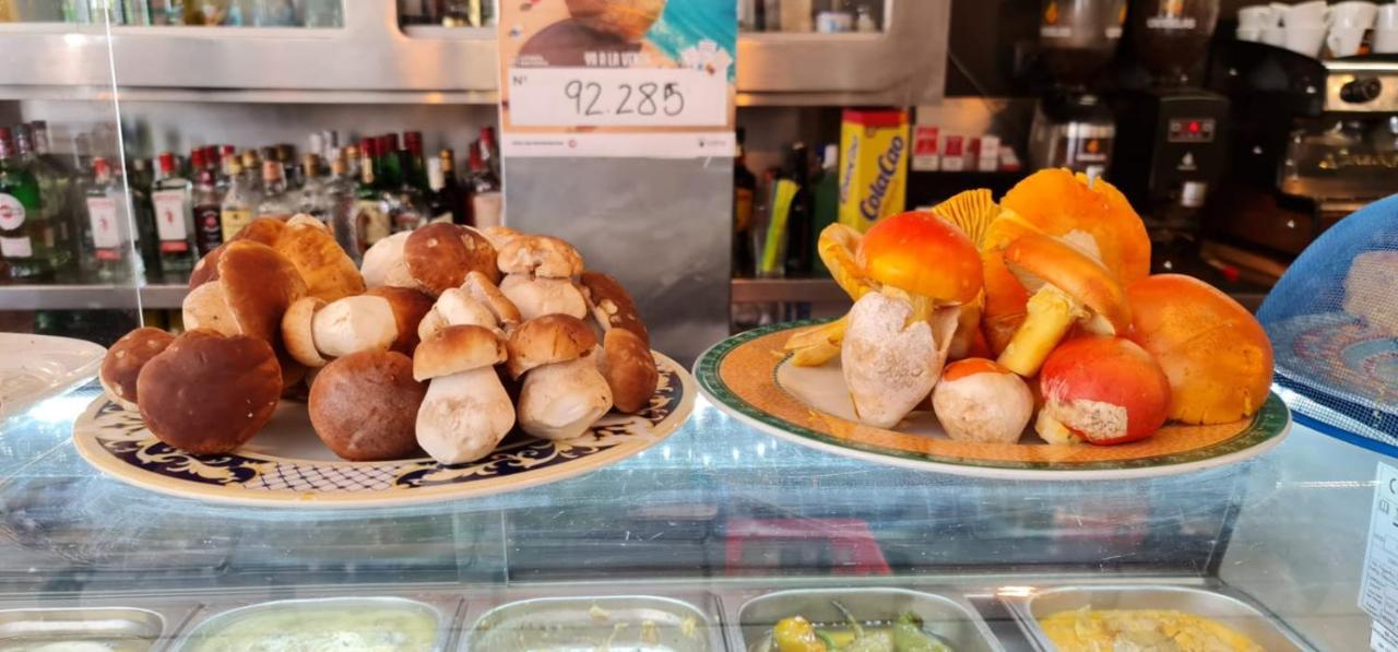 Hostal San Andres Soria Eksteriør billede